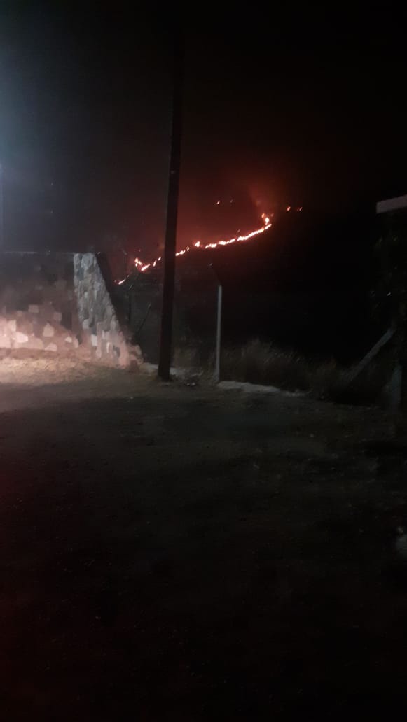 INFORME DE LOS INCENDIOS Y CORONAVIRUS