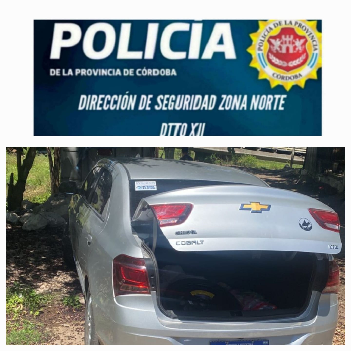 RESUMEN POLICIAL: Informe Oficial