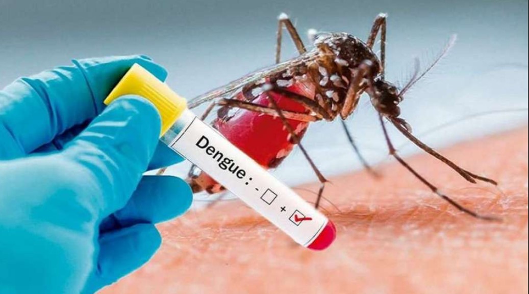 PEGA DURO «EL MOSQUITO» – ¿CUANTOS CANDIDATOS NOS QUEDAN? – ¡ALGO MÁS!